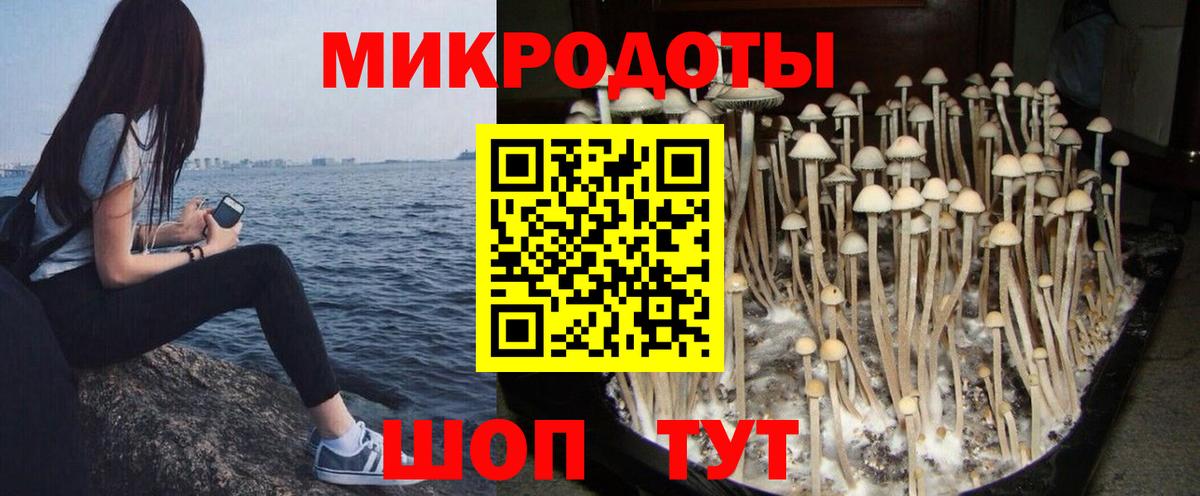 Псилоцибиновые грибы Psilocybine cubensis  Псилоцибиновые грибы прущие грибы  Вход с VPN  Стрежевой 